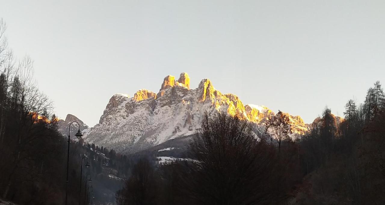 Апартаменти Casa Renzo - Dolomiti - Trentino Меццано Екстер'єр фото