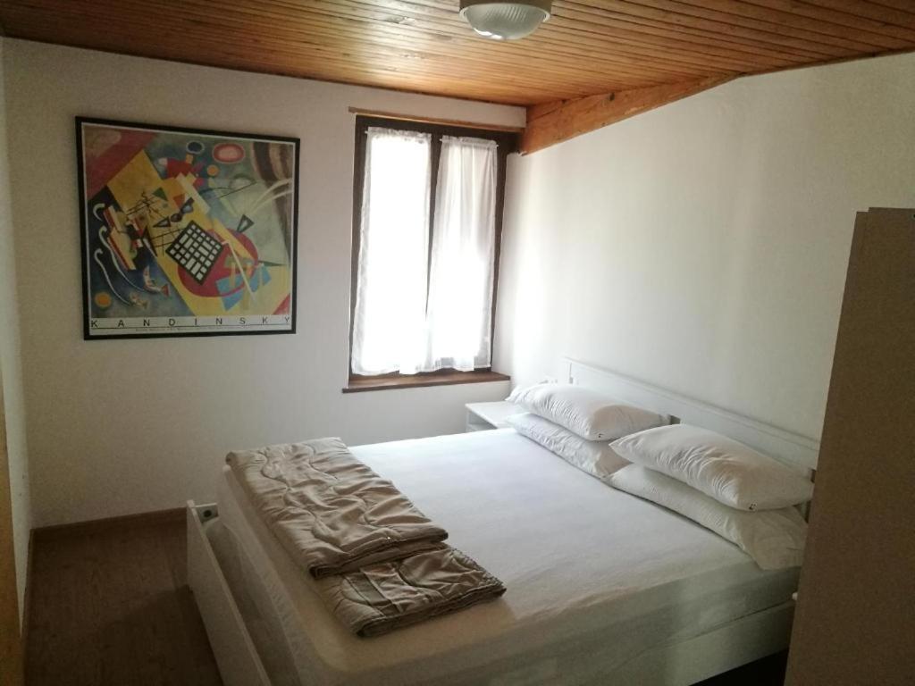 Апартаменти Casa Renzo - Dolomiti - Trentino Меццано Екстер'єр фото